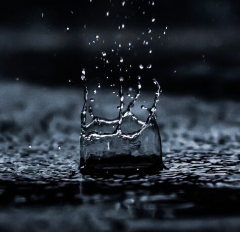 pexels sourav mishra 1100946