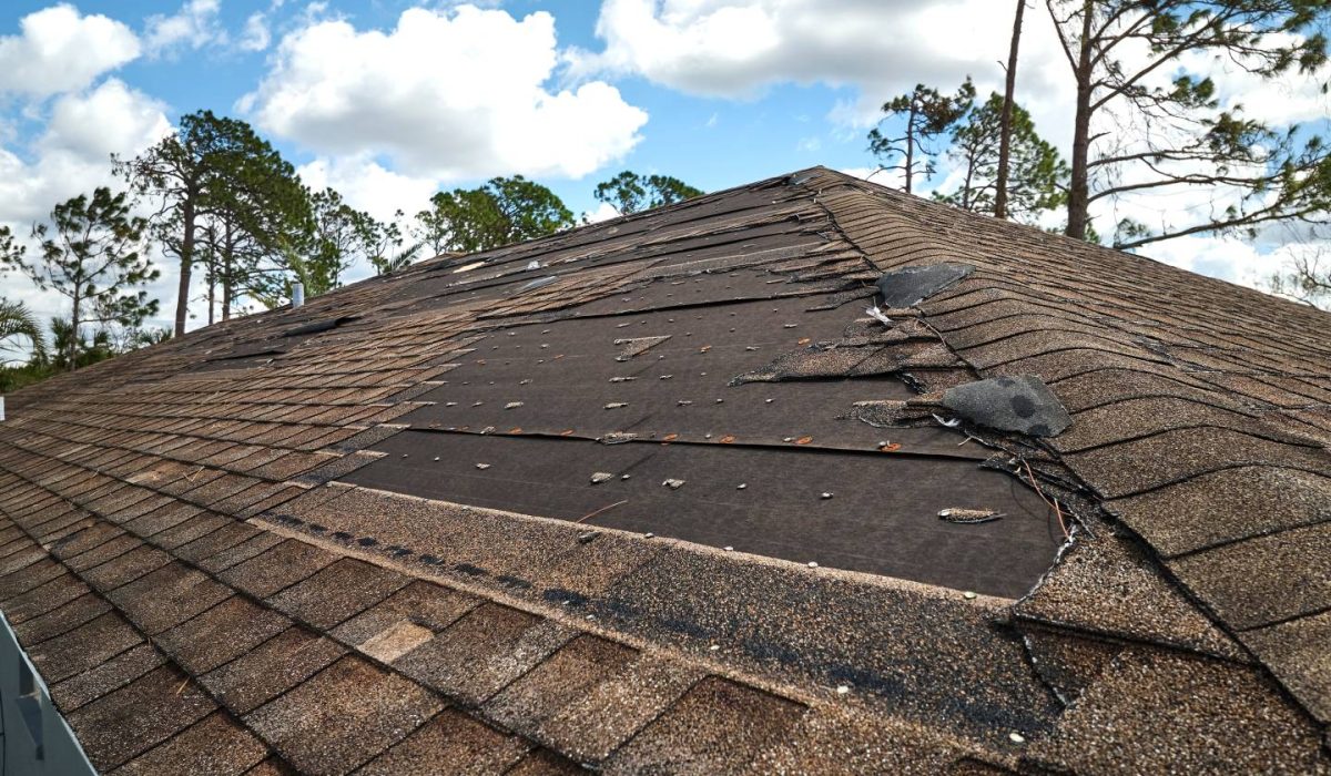 shutterstock 2254533275