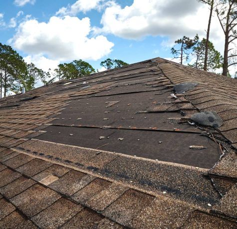 shutterstock 2254533275